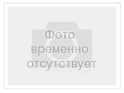 Ученик года 